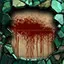 Act 2:1 Complete