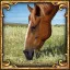 I’ll graze my horse here.. And here…