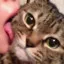 Lick