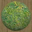 Moss Ball