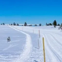 Winter Road №1
