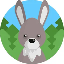The Rabbit